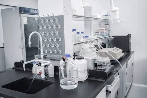 持續(xù)突破，精準(zhǔn)制導(dǎo) 詩健生物的創(chuàng)新之旅與ADC藥物研發(fā)新篇