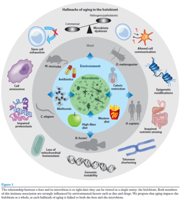 學術沙龍聚焦益生菌研究新進展，完美生科院探索生物產品研發新思路